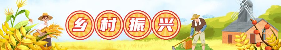 乡村振兴